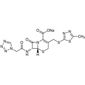Cefazolin Sodium Salt suppliers in india, Cefazolin Sodium Salt suppliers in mumbai, Cefazolin Sodium Salt suppliers suppliers in pune, Cefazolin Sodium Salt suppliers suppliers in hyderabad, Cefazolin Sodium Salt suppliers suppliers near me