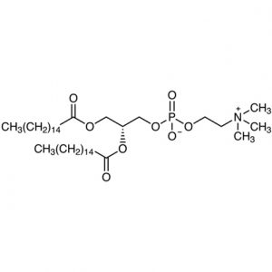 DPPC (1,2-Dipalmitoyl-sn-glycero-3-phosphocholine)