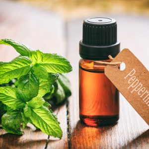 Peppermint oil (Mentha piperita, natural)