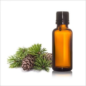 Turpentine oil  (Pine oil, Turpentine)