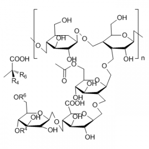 Xanthan Gum (Gum xanthan)