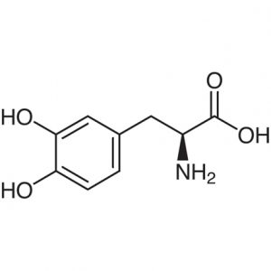 L -DOPA ( Levodopa)
