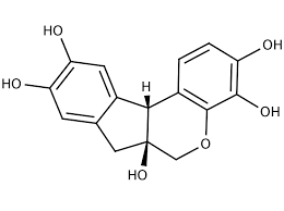 Hematoxylin Monohydrate