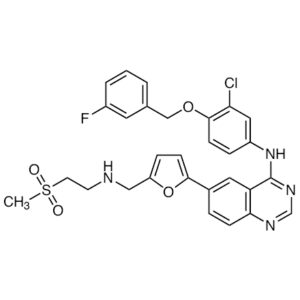 Lapatinib